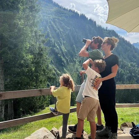 Hotel Alpen Post 4*