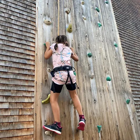 Alpen Post Hotel Au (Bregenz)